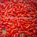 the goji berry with high quality